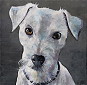 "Hund III“. Acryl auf Leinwand . 40 x 40 cm . 2023
